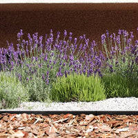 Obrzeże trawnikowe BORDER 0645 - czarny