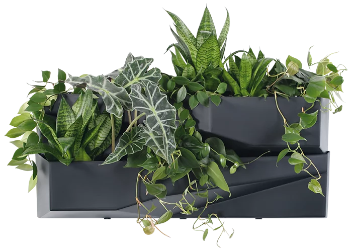 Ogród wertykalny 3 SET -  antracyt