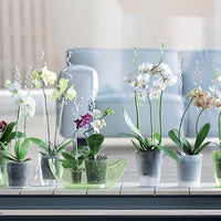 Podpórka dla kwiatów COUBI - przeźroczysty