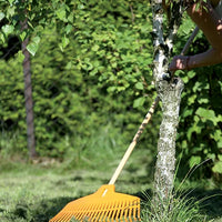 Grabie FOCUS - zielony