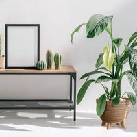Furu ECO Wood flowerpot