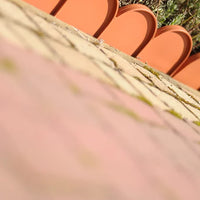 Krawężnik ogrodowy GARDEN LINE - zielony leśny