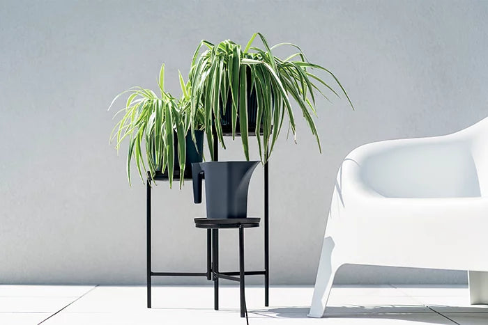 Konewka Jug-antracyt