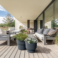 Milly flowerpot