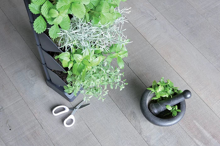 Ogród wertykalny stojący  - MINI CASCADE- antracyt