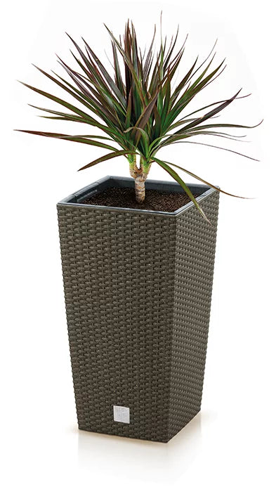 Doniczka Rato Square Eco-kawa-FSC mix credit-DNV-COC-002260