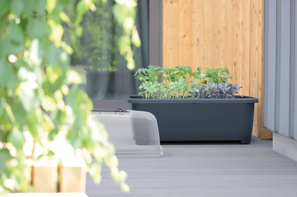 Szklarnia RESPANA PLALNTER  SET - szary kamienny