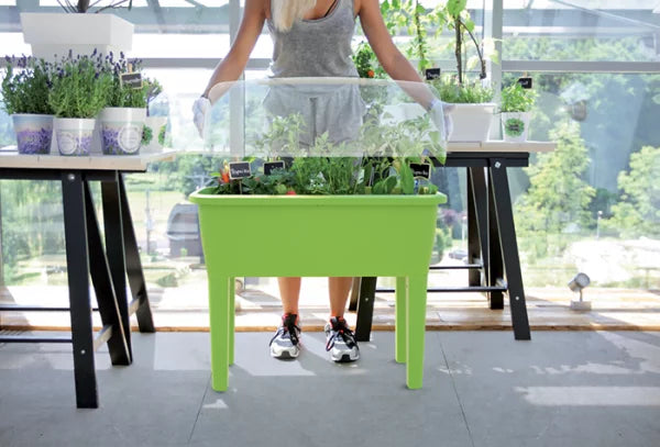 Szklarnia RESPANA PLANTER SET - limonka