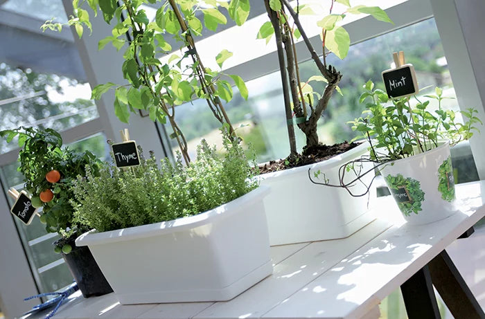 Skrzynka balkonowa z podstawką RESPANA SET - brąz