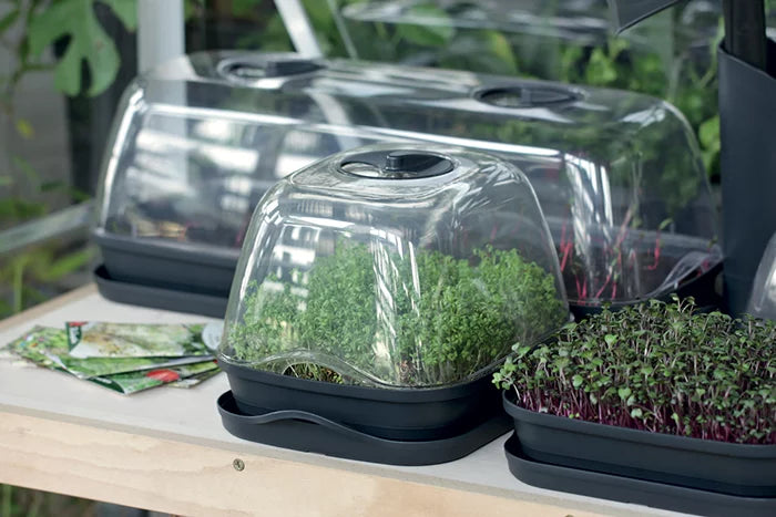 Szklarnia RESPANA TABLE GREENHOUSE 2 - antracytowy