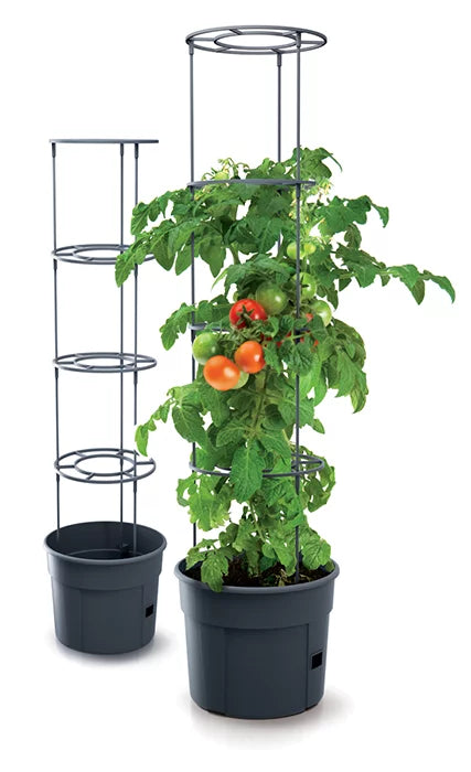 Doniczka TOMATO GROWER - antracytowy