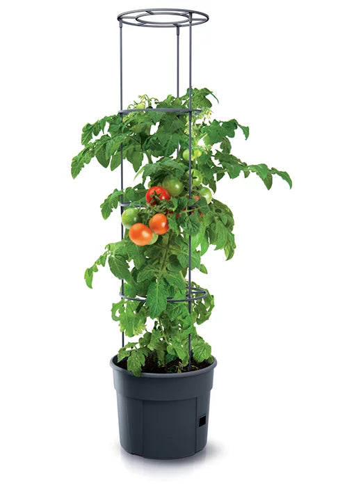 Doniczka TOMATO GROWER - antracytowy