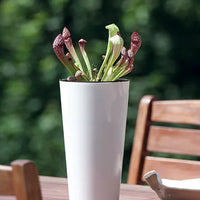 DoniczkaTUBUS SLIME SHINE- - biały