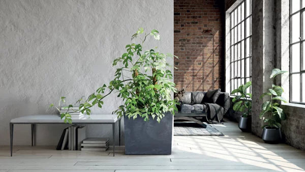 Doniczka URBI CASE TOWER BETON EFFECT - marengo