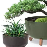 Doniczka Gracia Low Eco Wood-antracyt-FSC mix credit-DNV-COC-002260