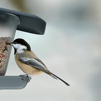 Karmnik dla ptaków BIRDYFEED DOUBLE - antracytowy [base:S433, top:405U]