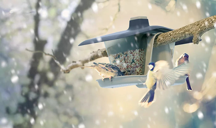 Karmnik dla ptaków BIRDYFEED DOUBLE - szary kamienny [base:405U, top:S433]