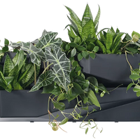 Ogród wertykalny 3 SET -  antracyt