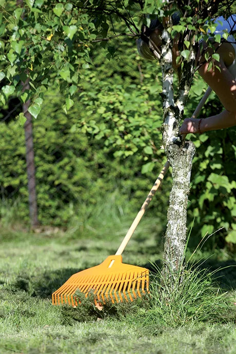 Grabie FOCUS - pomarańczowy