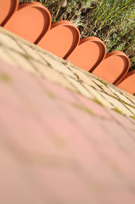 Krawężnik ogrodowy GARDEN LINE - terakota