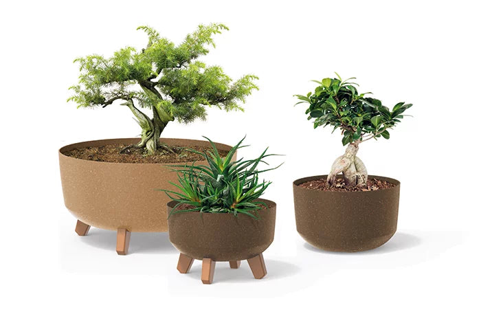 Doniczka Gracia Low Eco Wood-antracyt-FSC mix credit-DNV-COC-002260