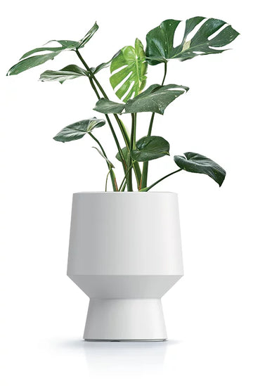 Heos flowerpot