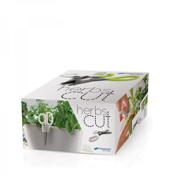 Nożyczki HERBS CUT - mix