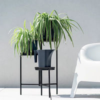 Konewka Jug-głębia oceanu