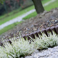 Palisada BORDER - brąz