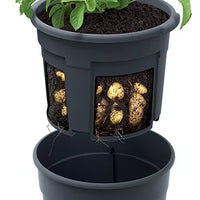 POTATO GROWER - antracytowy