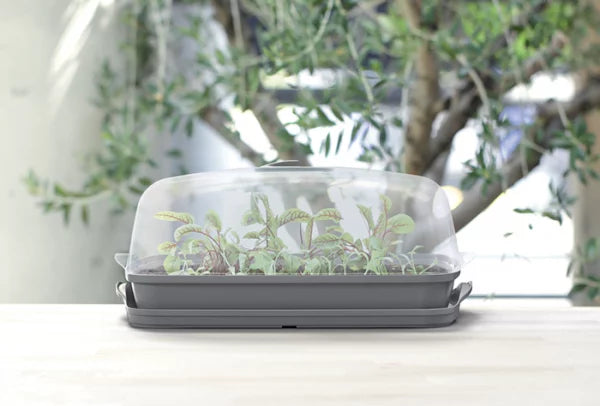 Szklarnia RESPANA TABLE GREENHOUSE 3 - antracytowy