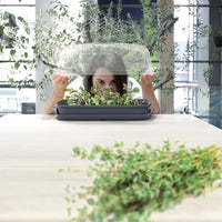 Szklarnia RESPANA TABLE GREENHOUSE - antracytowy