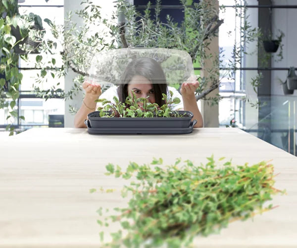 Szklarnia RESPANA TABLE GREENHOUSE 3 - antracytowy