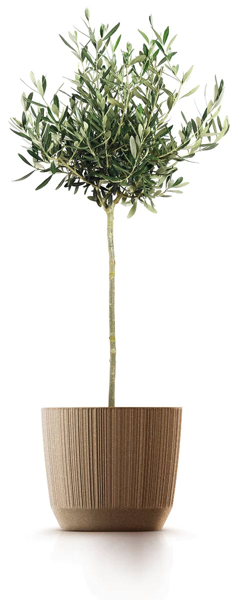 Doniczka Ryfo Eco Wood-biały-FSC mix credit-DNV-COC-002260