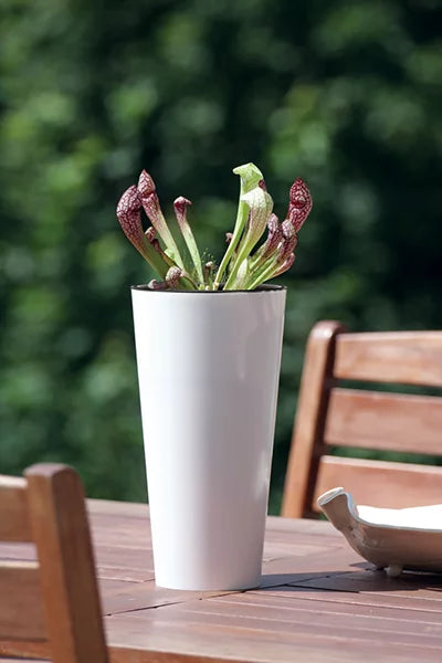 DoniczkaTUBUS SLIME SHINE- - biały