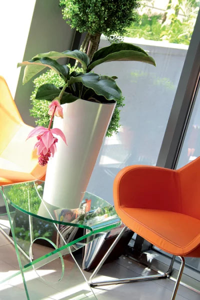 DoniczkaTUBUS SLIME SHINE- - biały