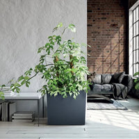 Skrzynka URBI CASE TOWER - mocca