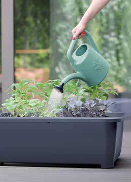 Szklarnia RESPANA PLALNTER  SET - szary kamienny